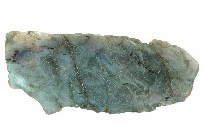 Single Side Polished Labradorite Section - Madagascar #230267